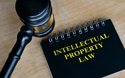 ip and legal support